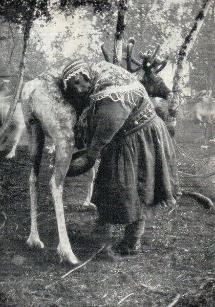 Woman helping Fredrik's grandmother milk reindeer