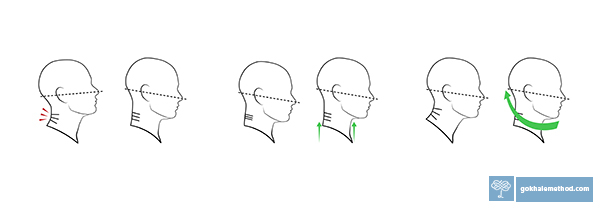 Drawings showing three movements for healthy head alignment.