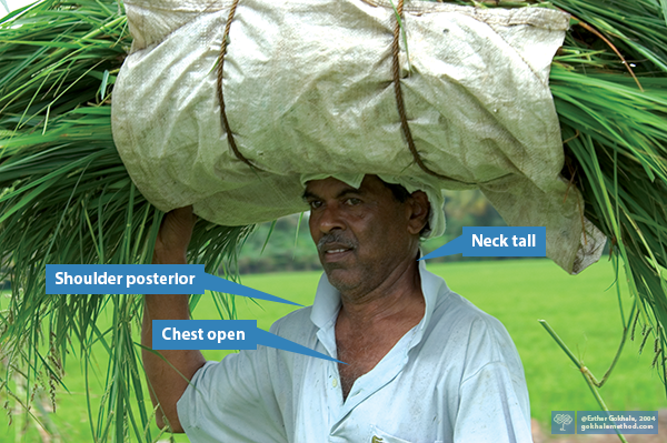 Man in India headloading vegetation (upper body).