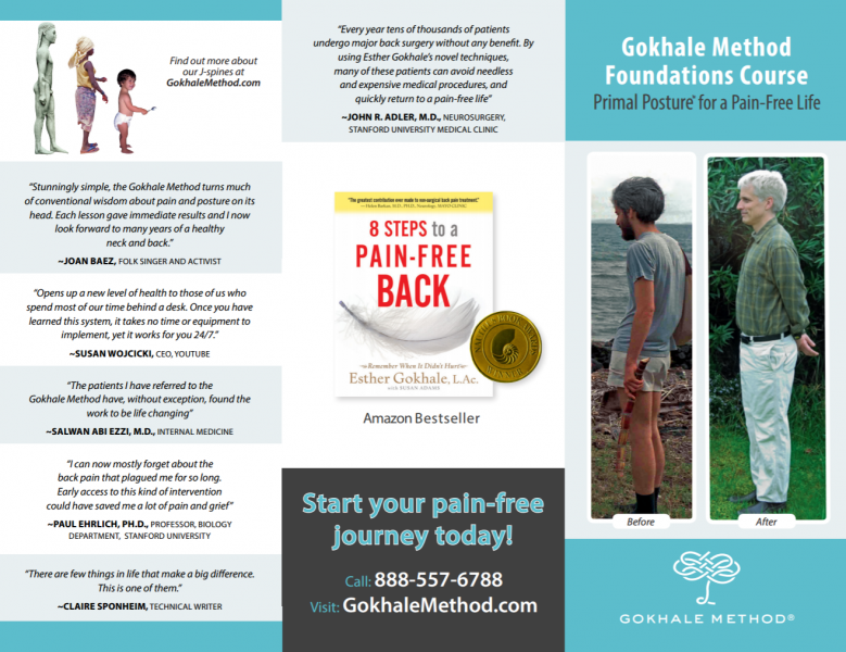 8 Steps To A Pain Free Back By Esther Gokhale Pdf 16