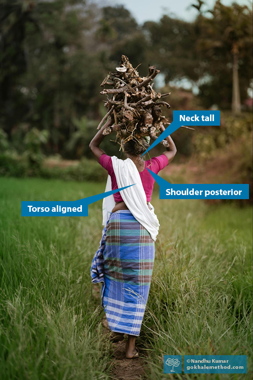 Photo of a woman headloading firewood in Africa.