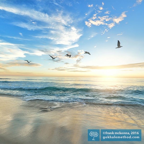 Five sea birds flying along the shore at dawn