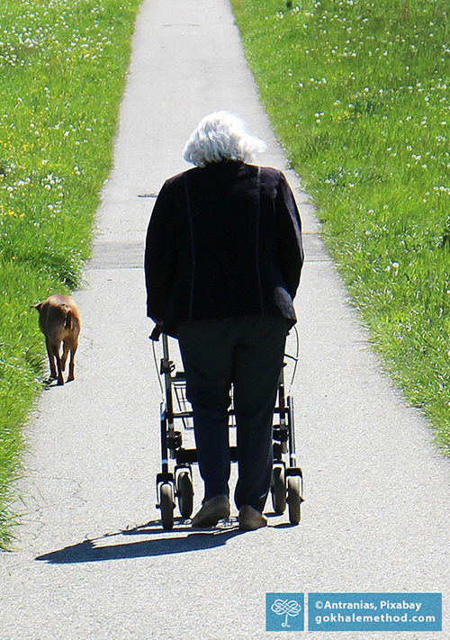 Elderly woman walking leaning on her walker, back view.