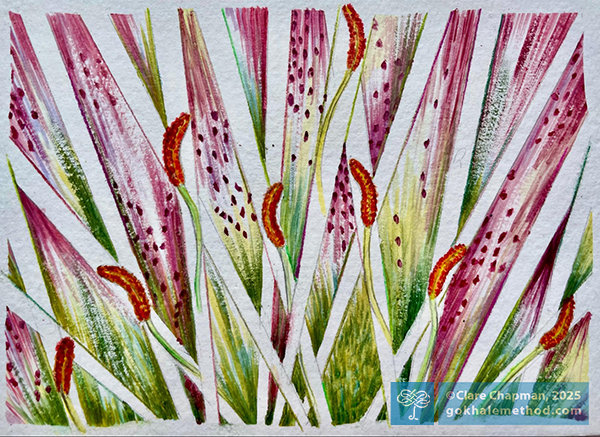 Lilies, sketch by Clare Chapman, 2025