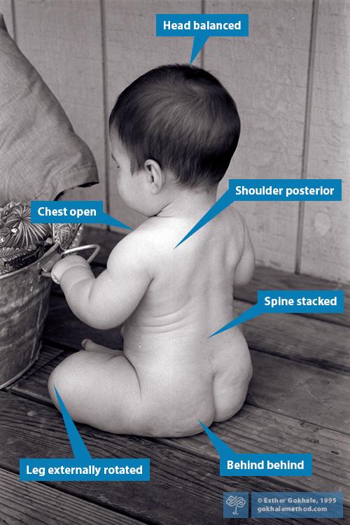 Baby sitting in healthy stacked position, back view.