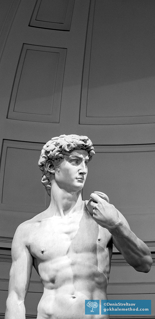 Michelangelo’s David