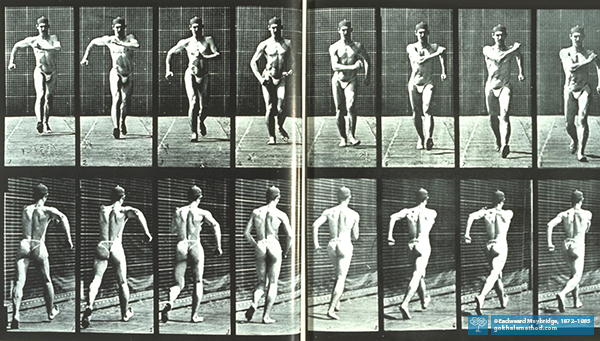 Time lapse photos by Eadweard Muybridge (in book) of man speed walking, naked.