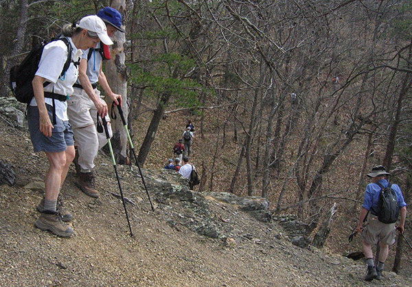 Photo showing two people walking down a woodland hill.