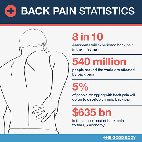Back Pain Statistics - Top Picks - US back pain statistics from www.thegoodbody.com . 