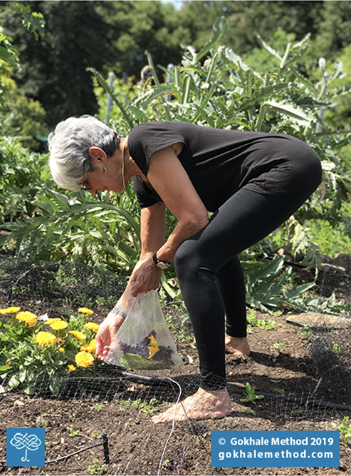 Joan Baez hip-hinging in Esther Gokhale’s garden, side view.