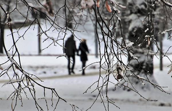 Couple in snowy distance walking, seen through tree branches.