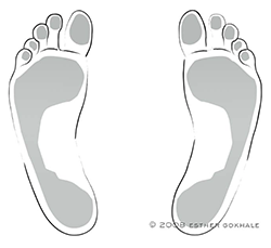 Diagram of adult kidney-bean shaped feet, from below.