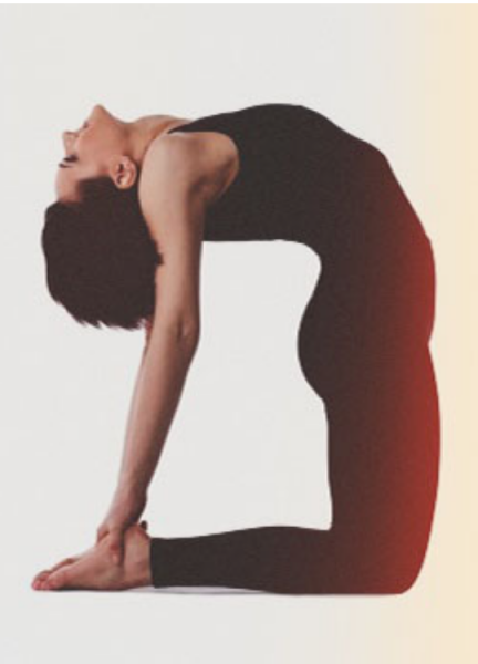 Camel Pose: Step-by-Step Beginner Guide