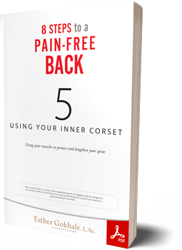 Free Chapter of 8 Steps to a Pain-Free Back