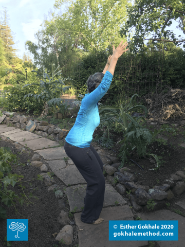Making the most of shelter-in by practicing chair pose Gokhale-style in my backyard garden.