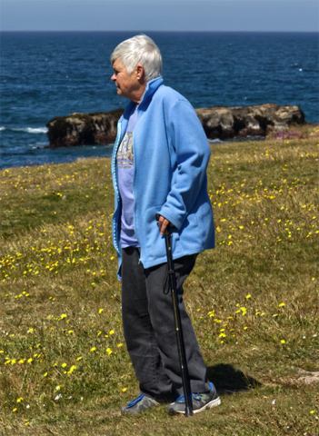 Walking sticks and poles help prevent falls but are poor compensation for loss of natural stability and balance from the feet and buttocks.